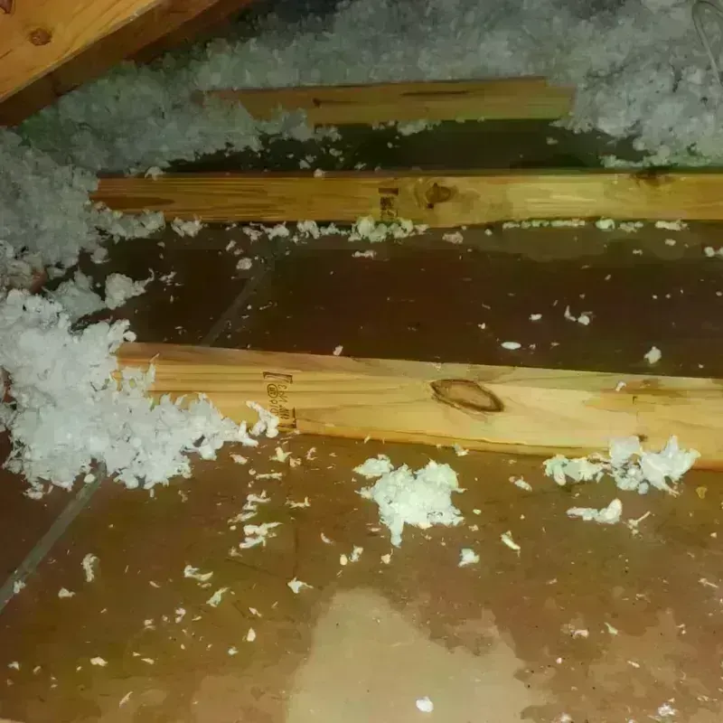 Attic Water Damage in Suisun, CA