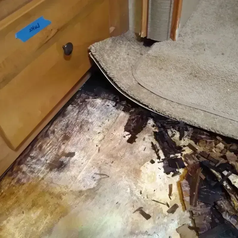 Best Wood Floor Water Damage Service in Suisun, CA